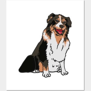 Australian Shepherd Dog Posters and Art